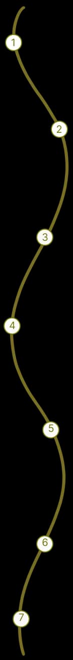 Courbe qui représente les différentes étapes de suivit de votre dossier